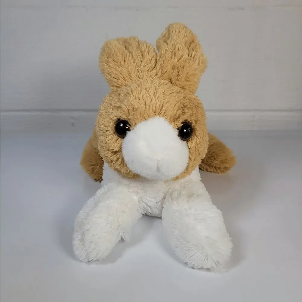 Aurora Miyoni tan dutch‎ Rabbit 12